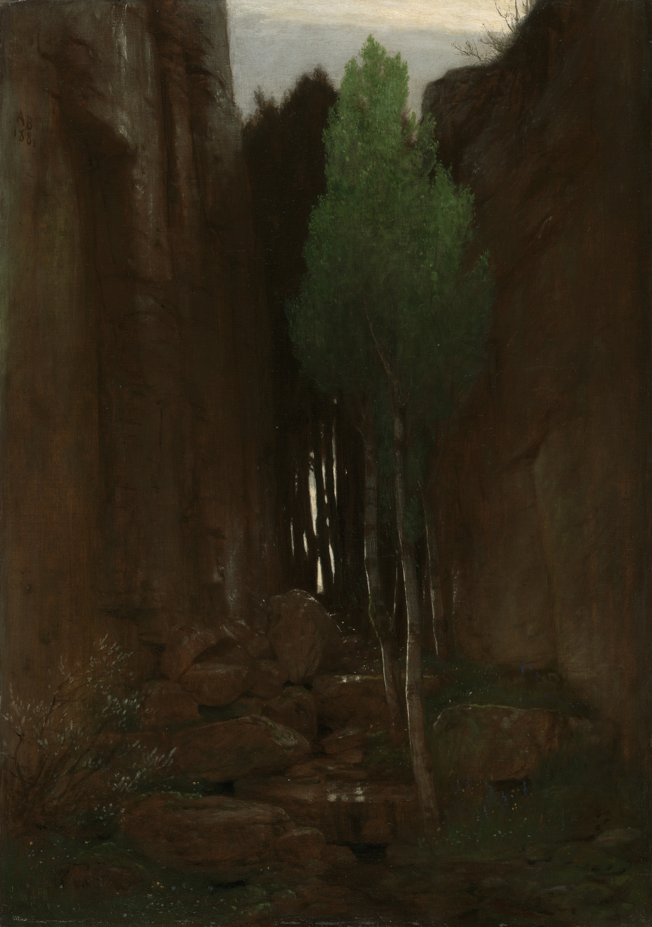 Spring in a Narrow Gorge | Collection